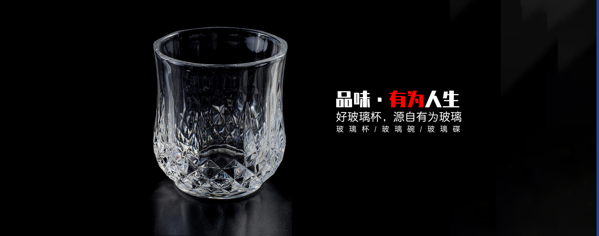 91视频软件下载